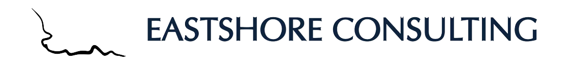 Eastshore-Consulting-logo-banner-big